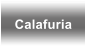 Calafuria